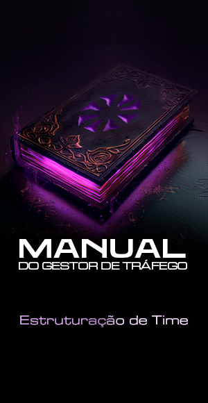 MANUAL GESTOR DE TRAFEGO